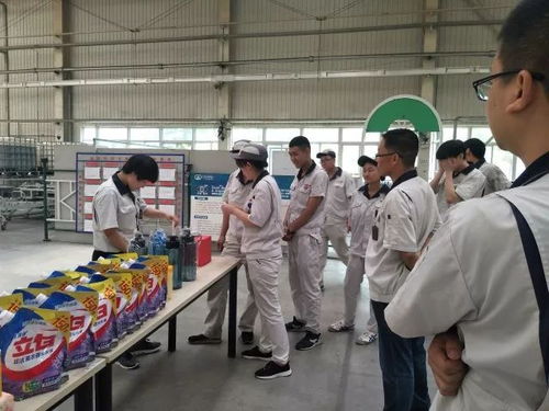 軟質(zhì)車間 粽香傳情系端午，匠心筑夢展風采