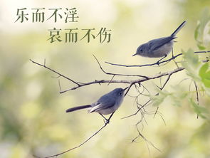 文藝創(chuàng)作 以“樂(lè)而不淫，哀而不傷”為尺度的美學(xué)追求